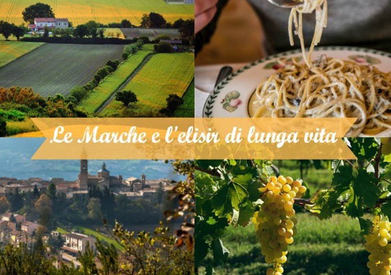 marche enogastronomia, degustazione - la garbatina