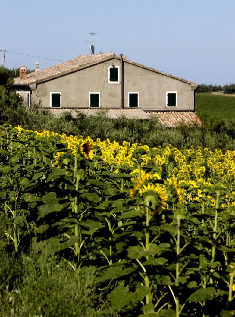 vista esterni in verde - la garnatina