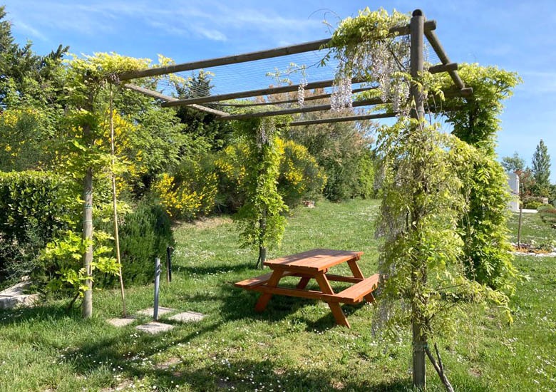glicini esterno - la garbatina