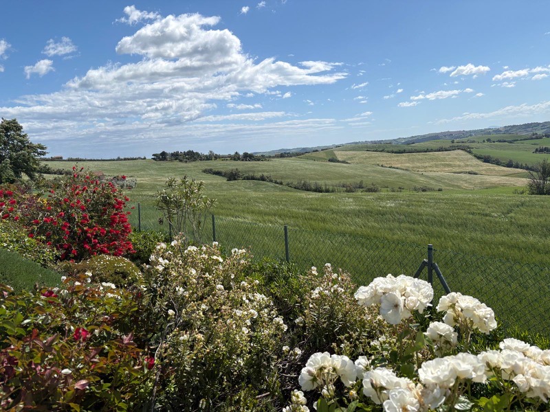 Vineyards and rolling hills in Cesano Valley