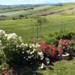Slow Life nelle Marche: Relax e Natura al B&B La Garbatina