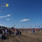 Festa dell Aquilone Urbino 2026: Evento e B&B La Garbatina