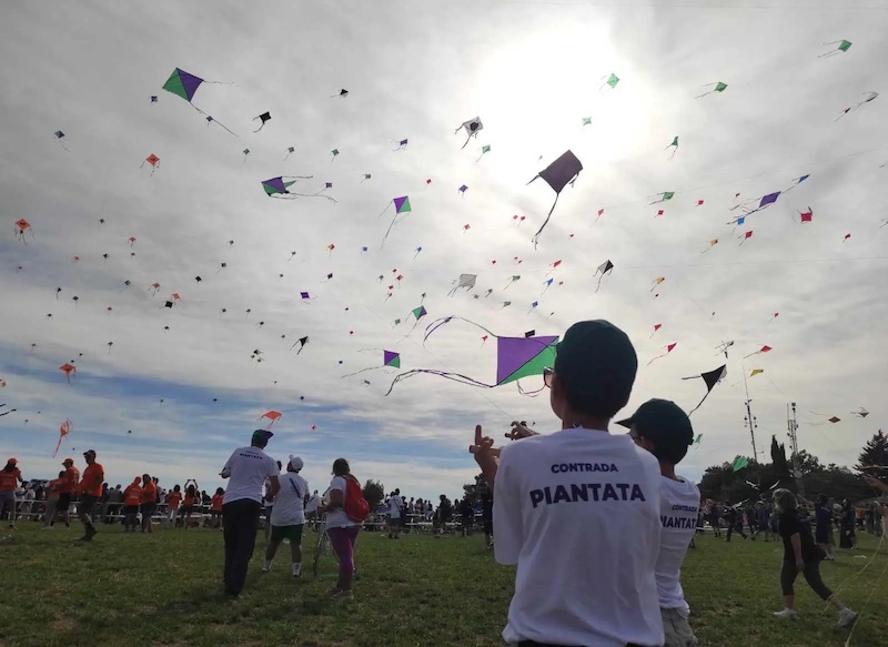 Kite Festival Urbino 2026: Historic Event & B&B Stay