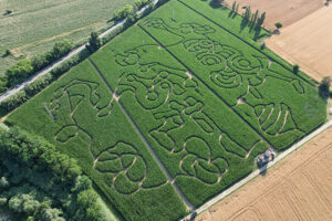 hort labyrinth senigallia, La Garbatina hort labyrinth senigallia, La Garbatina